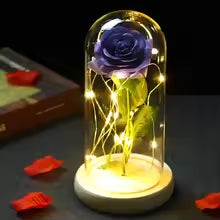 Rose LED Lamp